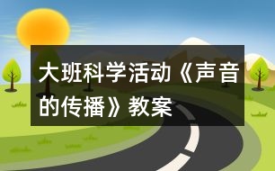 大班科學(xué)活動《聲音的傳播》教案