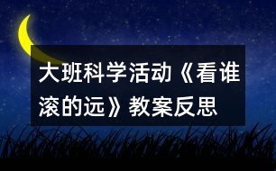 大班科學(xué)活動《看誰滾的遠(yuǎn)》教案反思