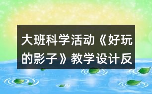 大班科學(xué)活動《好玩的影子》教學(xué)設(shè)計反思