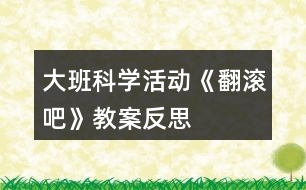 大班科學(xué)活動《翻滾吧》教案反思