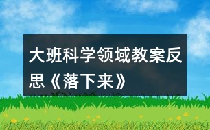 大班科學(xué)領(lǐng)域教案反思《落下來(lái)》