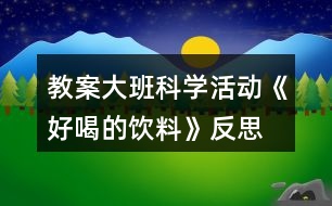 教案大班科學(xué)活動(dòng)《好喝的飲料》反思