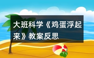 大班科學(xué)《雞蛋浮起來》教案反思