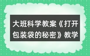 大班科學(xué)教案《打開(kāi)包裝袋的秘密》教學(xué)反思