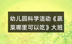 幼兒園科學(xué)活動(dòng)《蔬菜哪里可以吃》大班語(yǔ)言教案狐貍種菜