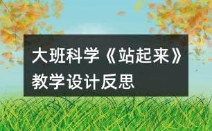 大班科學(xué)《站起來》教學(xué)設(shè)計反思