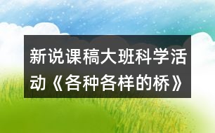 新說課稿大班科學(xué)活動(dòng)《各種各樣的橋》教案反思