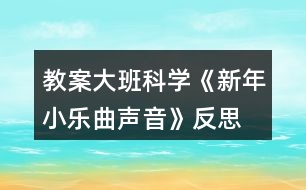 教案大班科學(xué)《新年小樂曲—聲音》反思