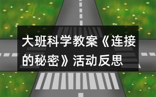 大班科學(xué)教案《連接的秘密》活動反思