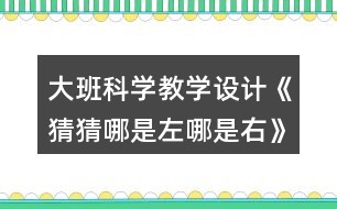 大班科學(xué)教學(xué)設(shè)計(jì)《猜猜哪是左哪是右》反思