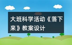 大班科學活動《落下來》教案設計