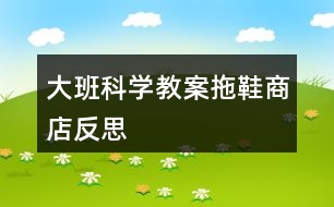 大班科學(xué)教案拖鞋商店反思