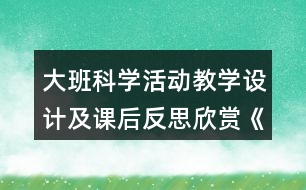 大班科學(xué)活動教學(xué)設(shè)計及課后反思欣賞《鳥的世界》