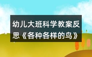 幼兒大班科學教案反思《各種各樣的鳥》