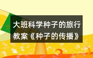 大班科學種子的旅行教案《種子的傳播》反思