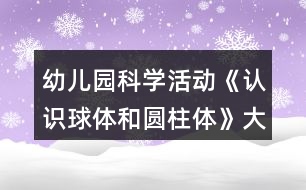 幼兒園科學活動《認識球體和圓柱體》大班教學設計