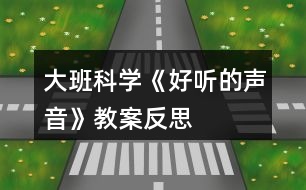 大班科學《好聽的聲音》教案反思