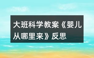 大班科學教案《嬰兒從哪里來》反思