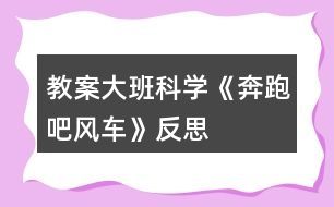 教案大班科學(xué)《奔跑吧風車》反思