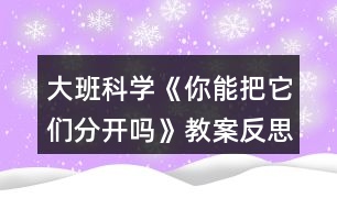 大班科學(xué)《你能把它們分開(kāi)嗎》教案反思