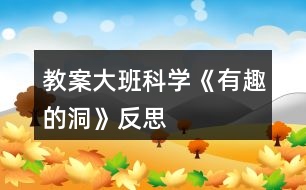 教案大班科學《有趣的洞》反思