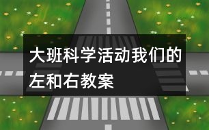 大班科學活動我們的左和右教案