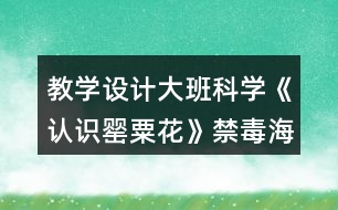 教學設計大班科學《認識罌粟花》（禁毒海報）反思