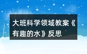 大班科學領域教案《有趣的水》反思