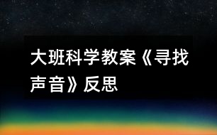 大班科學教案《尋找聲音》反思