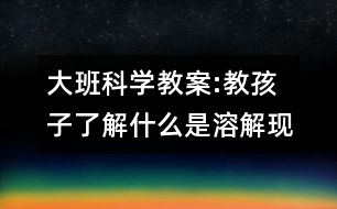 大班科學(xué)教案:教孩子了解什么是溶解現(xiàn)象