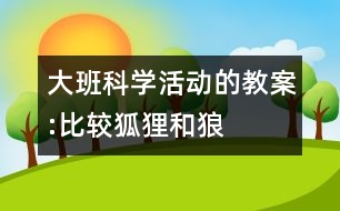 大班科學(xué)活動(dòng)的教案:比較狐貍和狼