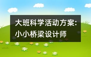 大班科學(xué)活動(dòng)方案:小小橋梁設(shè)計(jì)師