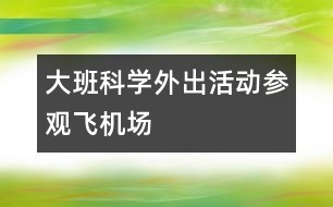 大班科學(xué)外出活動參觀飛機(jī)場