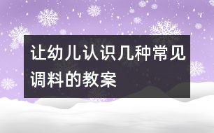 讓幼兒認(rèn)識(shí)幾種常見(jiàn)調(diào)料的教案