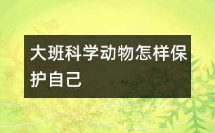 大班科學(xué)：動物怎樣保護(hù)自己