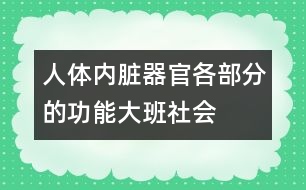 人體內(nèi)臟器官各部分的功能（大班社會）