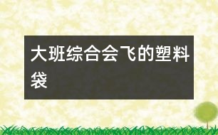 大班綜合：會飛的塑料袋