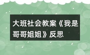 大班社會教案《我是哥哥姐姐》反思