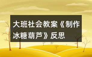 大班社會教案《制作冰糖葫蘆》反思