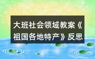 大班社會領域教案《祖國各地特產》反思