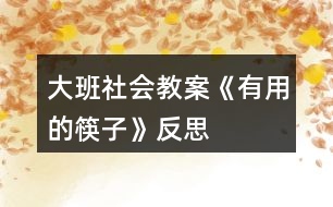 大班社會教案《有用的筷子》反思