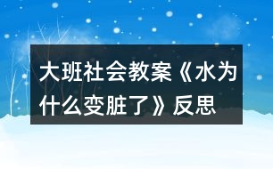 大班社會教案《水為什么變臟了》反思