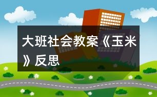 大班社會教案《玉米》反思