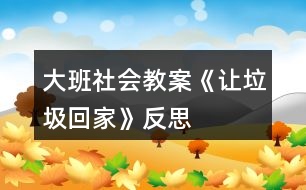 大班社會教案《讓垃圾回家》反思