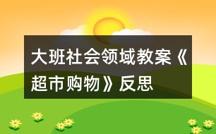 大班社會領(lǐng)域教案《超市購物》反思