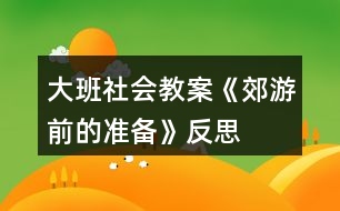 大班社會(huì)教案《郊游前的準(zhǔn)備》反思