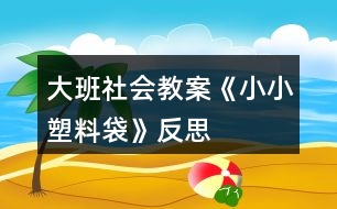 大班社會(huì)教案《小小塑料袋》反思