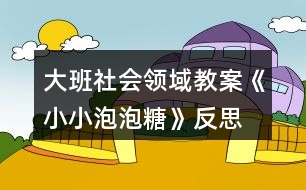 大班社會領(lǐng)域教案《小小泡泡糖》反思