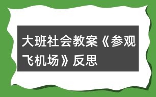 大班社會(huì)教案《參觀飛機(jī)場(chǎng)》反思