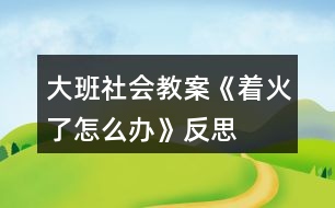 大班社會(huì)教案《著火了怎么辦》反思